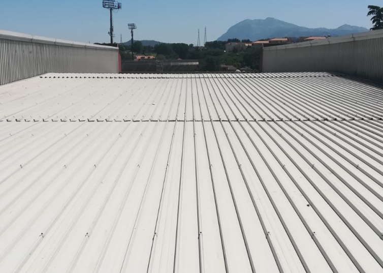 PaladelMauro3